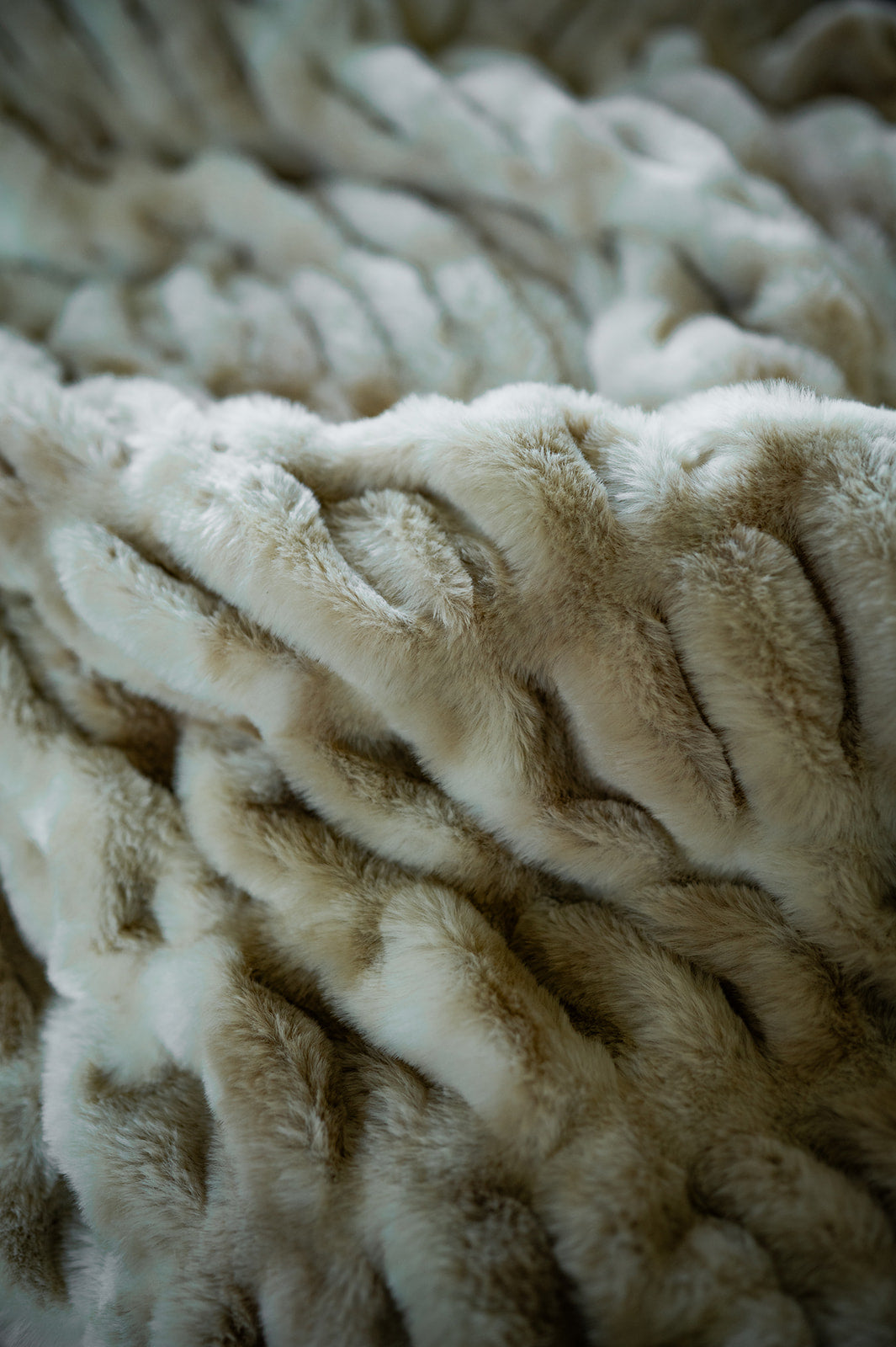 Caramel Swirl Double-sided Minky Blanket