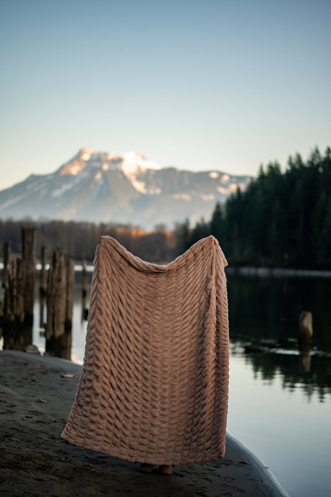 Bronde Minky Blanket