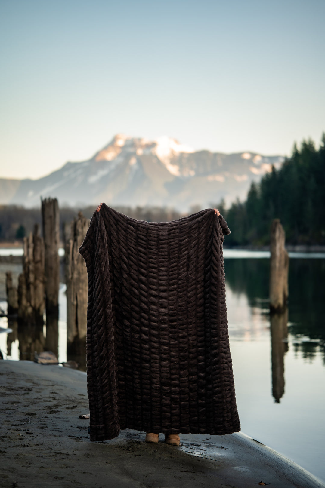 Dark Chocolate Minky Blanket