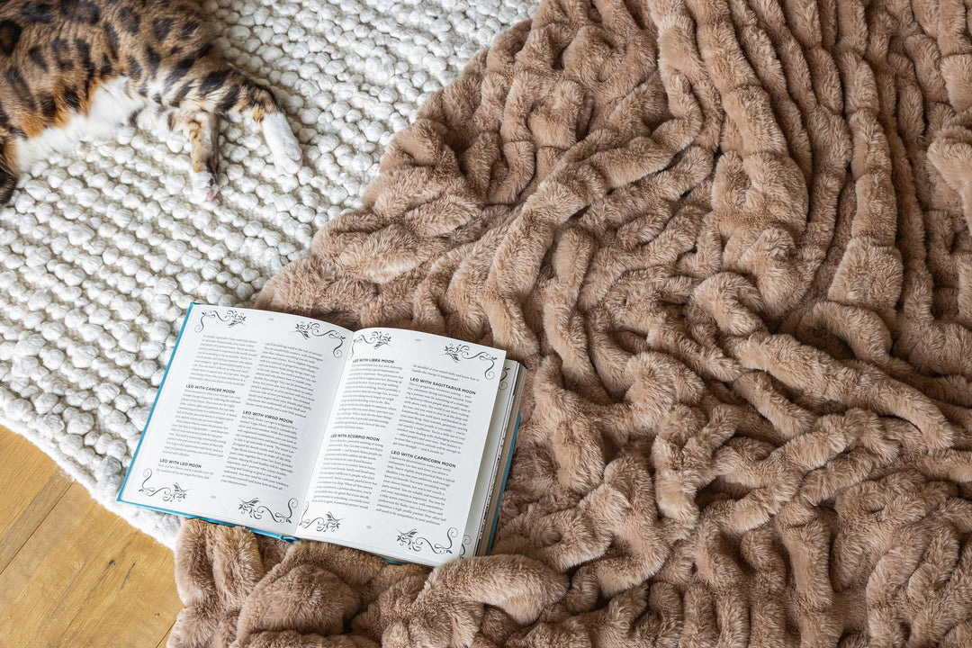 Mushroom Minky Blanket