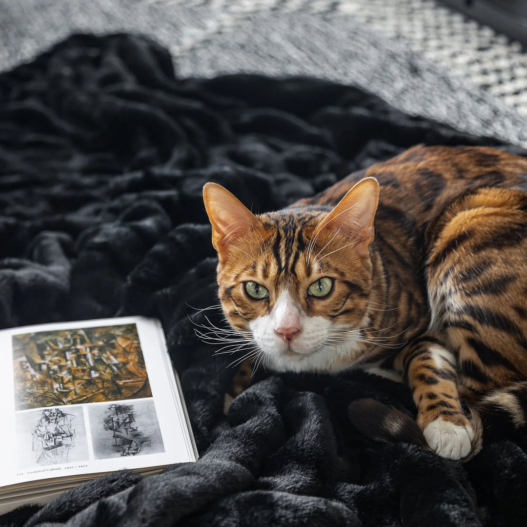 Midnight Black Double-sided Minky Blanket