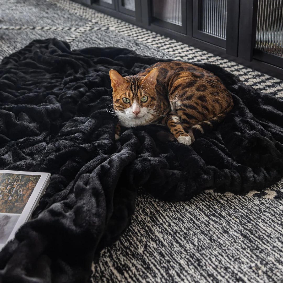 Midnight Black Double-sided Minky Blanket