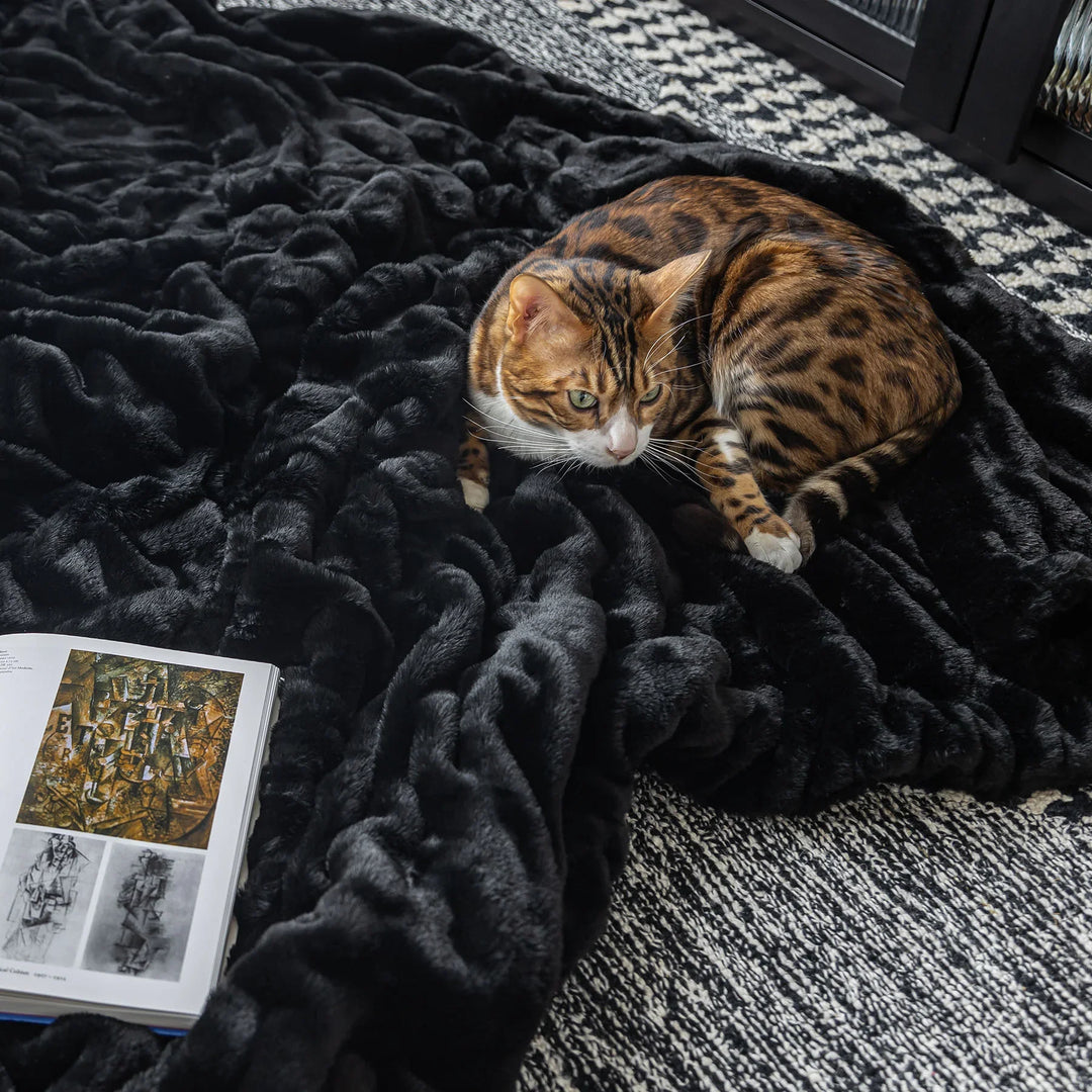 Midnight Black Double-sided Minky Blanket