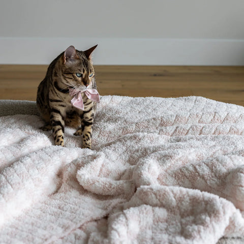 Baby Pink Check Print Extended Throw