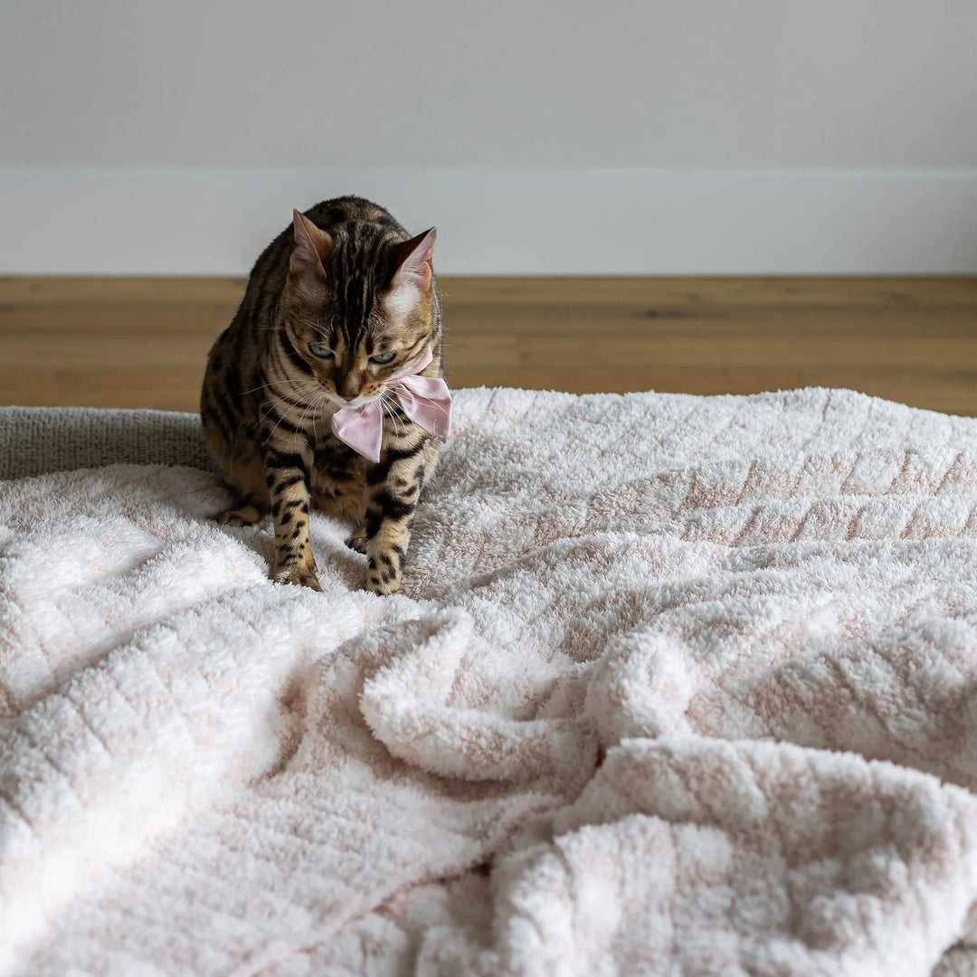 Baby Pink Check Print Extended Throw