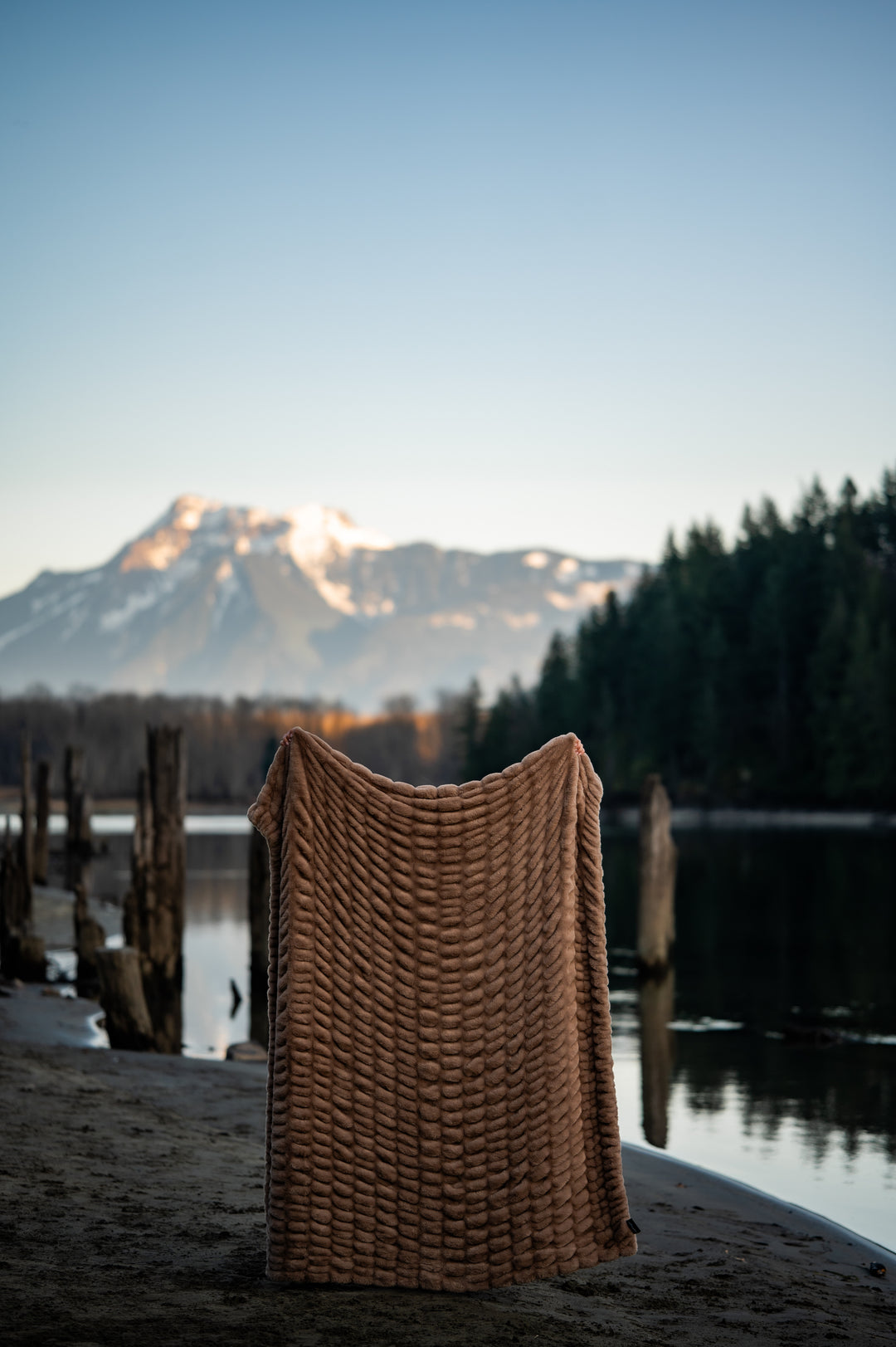 Mushroom Minky Blanket