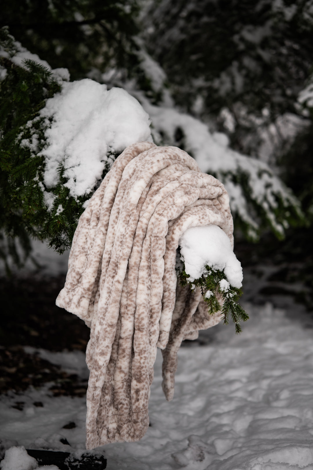 Snow Leopard Minky Blanket