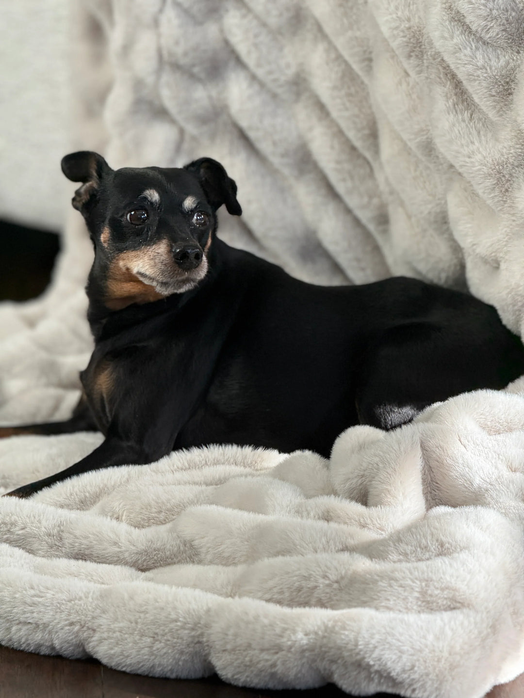 Greige Double-sided Minky Blanket
