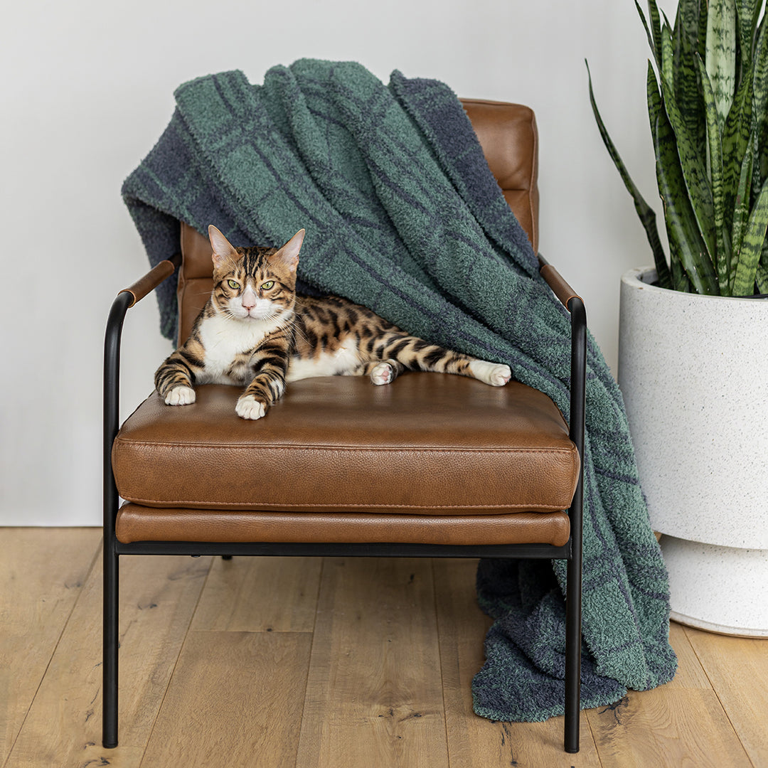 Forest and Turbulence Plaid Print Throw